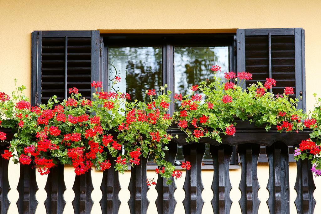 Tourist Farm Arbajter Villa Resnik Exterior foto