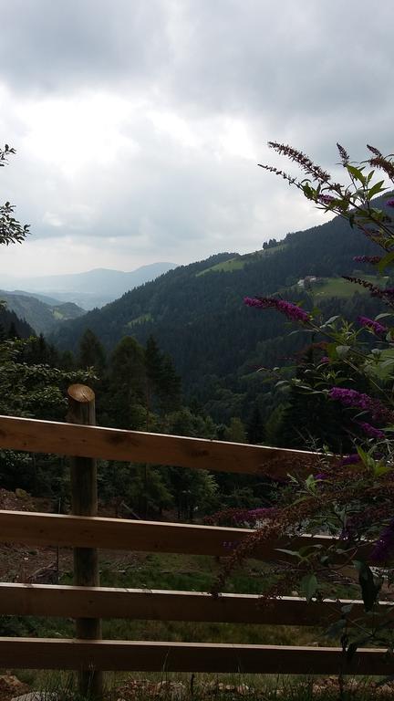 Tourist Farm Arbajter Villa Resnik Cameră foto